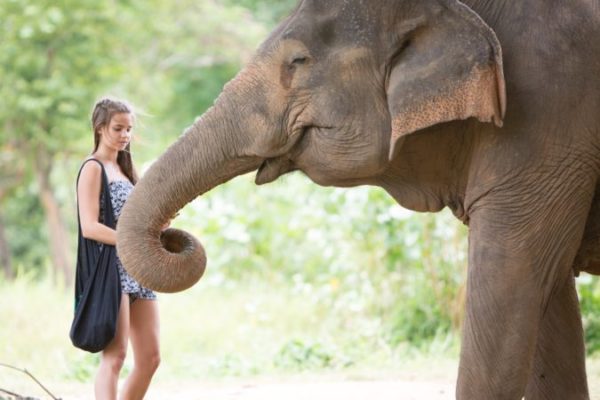 Samui elephant Sacntuary eco-friendly tours
